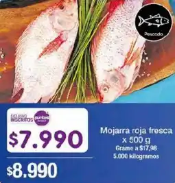 Jumbo Mojarra roja fresca oferta