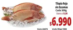 Mercamio Tilapia roja sin escamas cada oferta