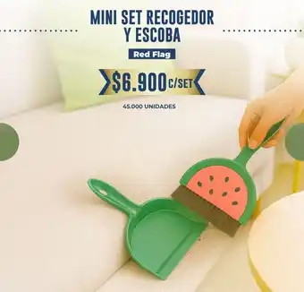Mini set recogedor y escoba