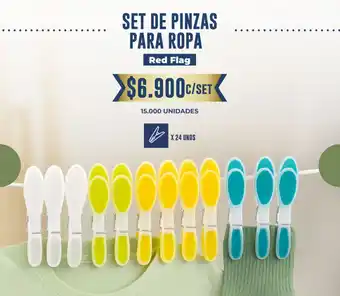 Set de pinzas para ropa