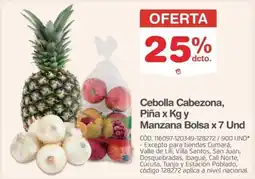 Makro Cebolla cabezona, piña x kg y manzana bolsa oferta