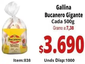 Gallina bucanero gigante cada