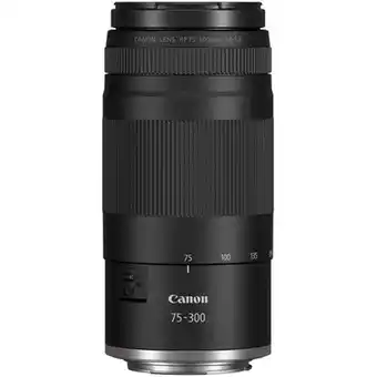 Falabella Lente RF 75-300mm f4-56 RF oferta
