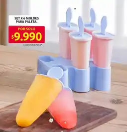Ara Moldes para paleta oferta