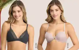 Jumbo St. even brasier oferta