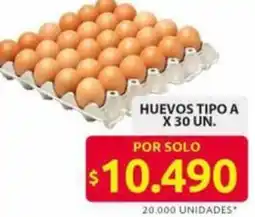 Ara Huevos tipo A oferta