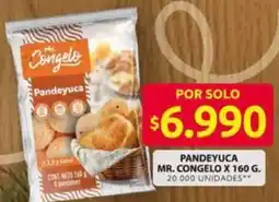 Ara Mr. Congelo pandeyuca oferta