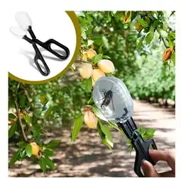 Falabella Tijera Jaula Atrapa Insectos Ciencia Mosca Abeja Araña oferta