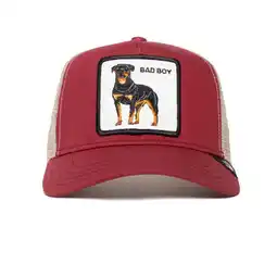 Falabella Gorra Bad Boy Bulldog Rottweiler - Original oferta
