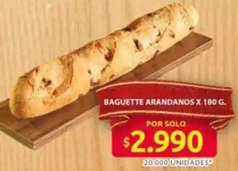 Baguette arandanos