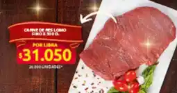 Ara Canne de fes lomo fino oferta