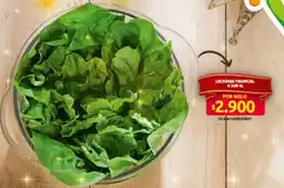 Ara LECHUGA TROPICAL oferta