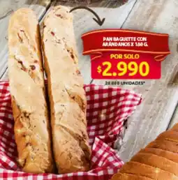 Ara Pan baguette con arandanos oferta