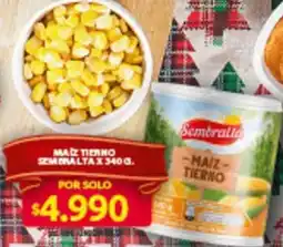 Ara Maiz tierno sembralla oferta