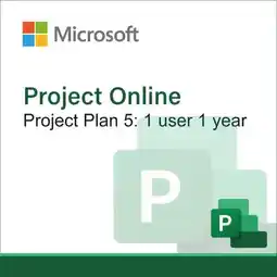 Falabella Project Online Project Plan 5 I 1 Usuario 1 Año oferta