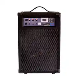 Falabella Amplificador de Voz y Guitarra con Puerto USB 45 Watts oferta