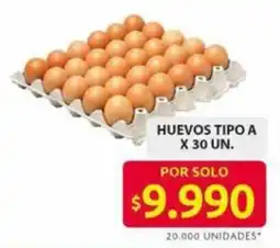 Ara Huevos tipo A oferta