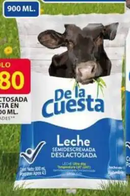Ara De la cuesta leche deslactosada en bolsa oferta