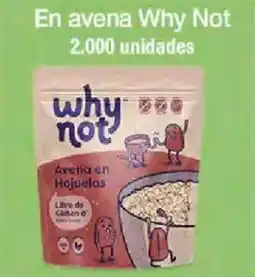 Jumbo Why Not avena oferta