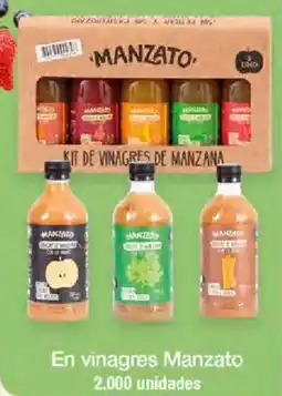 Jumbo En vinagres Manzato oferta