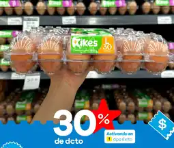 Éxito Kikes huevos L oferta