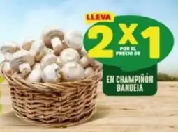 Ara En champinon bandeja oferta
