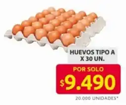 Ara Huevos Tipo A oferta