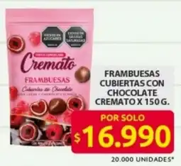 Ara Cremato frambuesas cubiertas con chocolate oferta