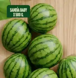 Ara Sandia baby oferta
