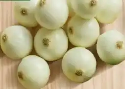 Ara Cebolla cabezona blanca oferta