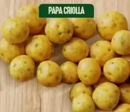 Ara Papa criolla oferta