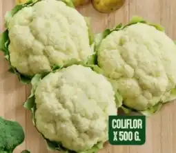 Ara Coliflor oferta