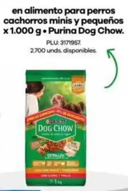 Surtimax Purina Dog Chow alimento para perros cachorros minis oferta