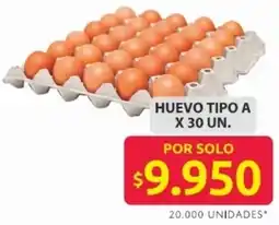 Ara Huevo tipo A oferta