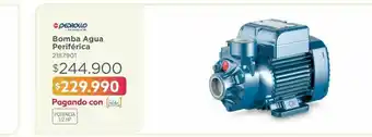 Easy Bomba de agua pedrollo oferta