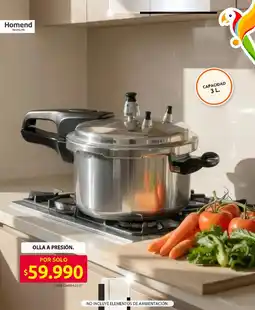 Ara Homend olla a presión oferta