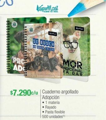 Jumbo Cuadernos paper mate oferta