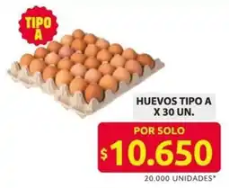 Ara Huevos Tipo A oferta