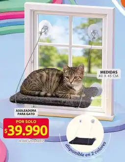 Ara Asoleadora para gato oferta
