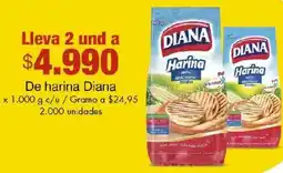 Metro Diana de harina oferta