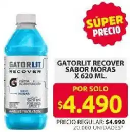Ara Gatorlit recover sabor moras oferta