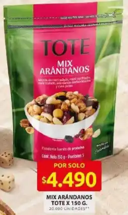 Ara Tote mix arandanos oferta