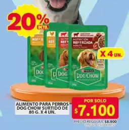 Ara Dog chow alimento para perros surtido oferta