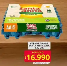 Ara Huevos tipo aa santa anita caja oferta