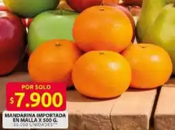 Ara Mandarina importada en malla oferta