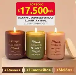 Ara Vela vaso colores/surtidos iluminata oferta
