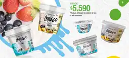 Jumbo Griego yogurt entero con dulce sabar oferta