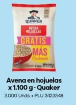 Surtimayorista Quaker avena en hojuelas oferta