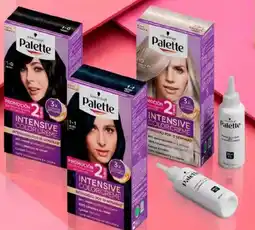 Metro Tintes palette + oxigenta oferta