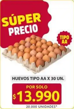 Ara Huevos tipo AA oferta